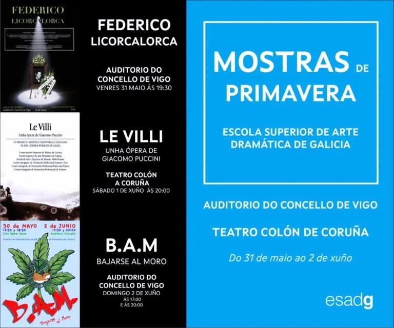 📢📢😃PRESENTAMOS O PROGRAMA DE ACTIVIDADES PARA ESTA FIN DE SEMANA DA ESAD DE GALICIA NO AUDITORIO DO CONCELLO DE VIG…