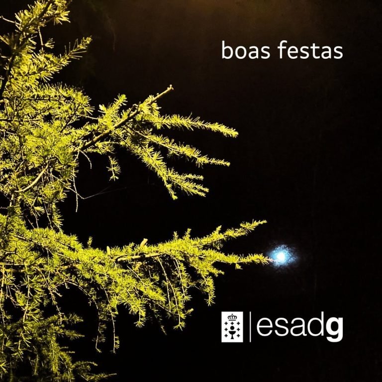 A ESAD de Galicia deséxavos unhas BOAS FESTAS.