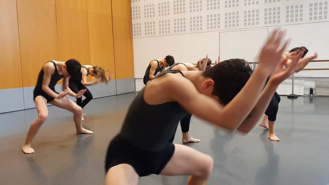 En el marc de la commemoració dels 10 anys del projecte formatiu #DansaenXarxa del Conservatori Professional de Dansa (C…