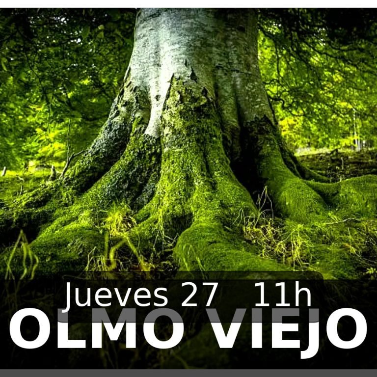 HOY EN LAS JORNADAS… 11.00 – Olmo viejo. Nuria Espert. Entrada con invitación. 12.00 – Día mundial del teatro. Teatro …
