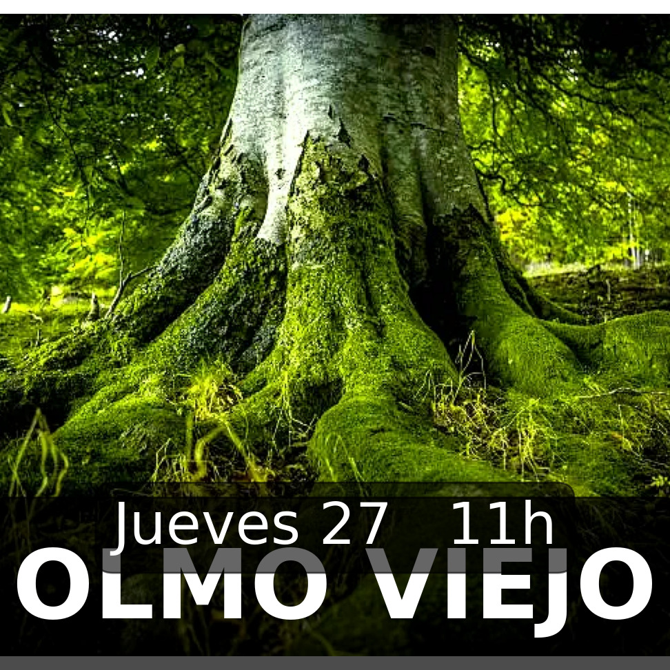 HOY EN LAS JORNADAS… 11.00 – Olmo viejo. Nuria Espert. Entrada con invitación. 12.00 – Día mundial del teatro. Teatro …