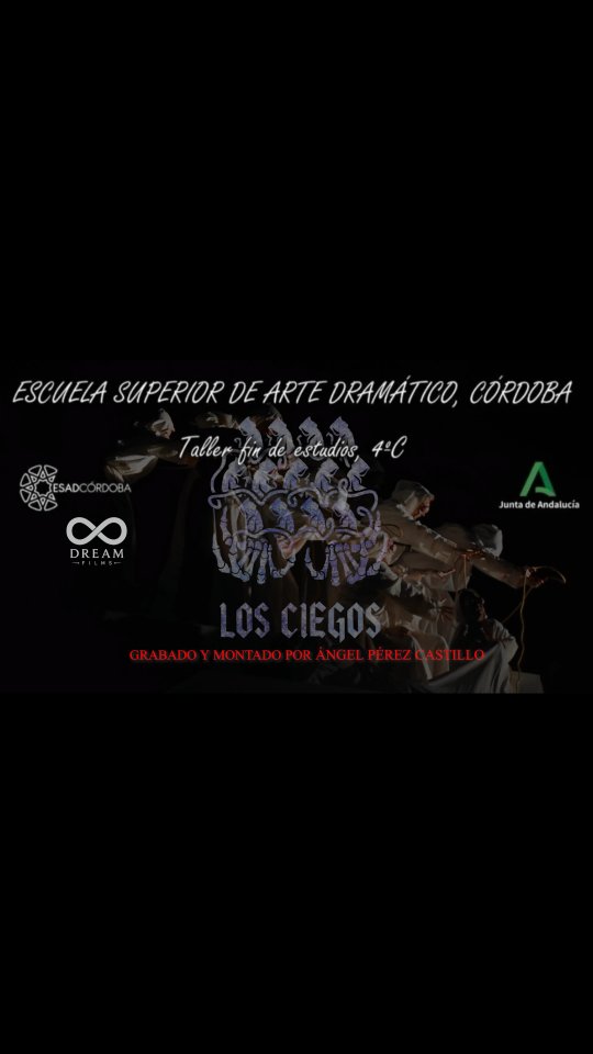 » LOS CIEGOS » Obra realizada por los alumnos del curso de 4⁰C en la ESAD de CÓRDOBA. GRABADO Y montado por Ángel Pére…