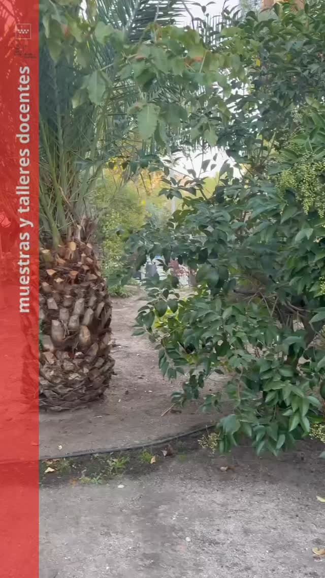 🎶 #EnLaRESAD El próximo 7 de noviembre, la Sala A acoge una nueva edición de Musica in scaena 5, dirigida por nuestro p…